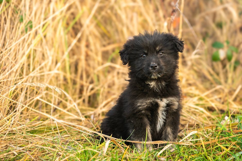 Turning Attraction Into Connection With Confidence and Playful Signals