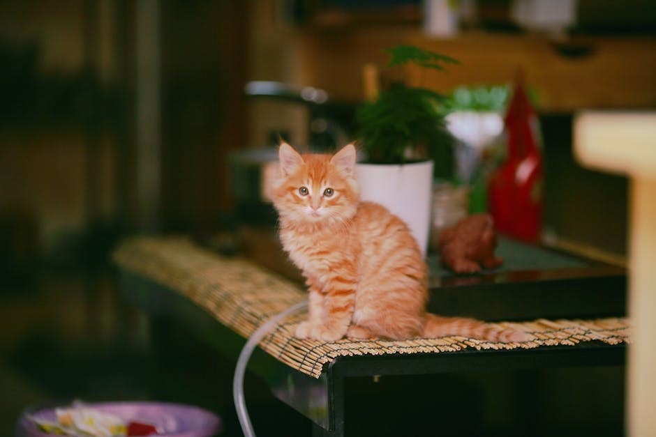 Earn His Attention Through Confidence, Mystery, and Playful Charm