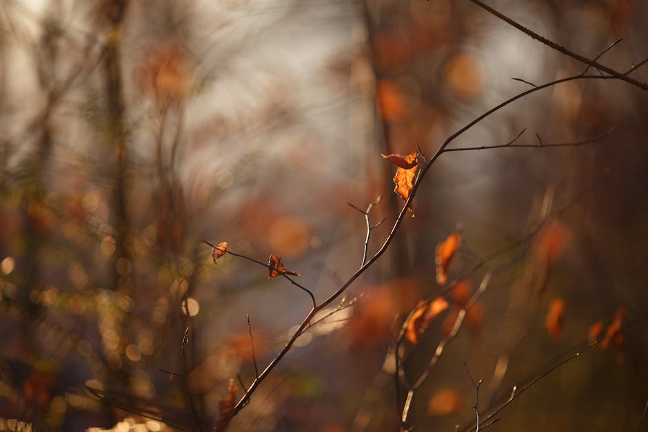 Confidence-First Flirtation Strategies for Women