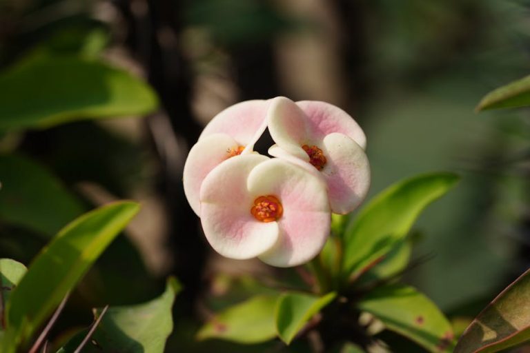 Reading Same-Gender Interest: Signs She’s Drawn to You and Why It Matters