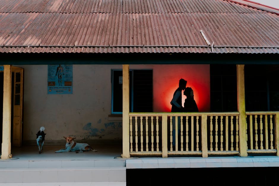 Confident Signals for Revealing Affection and Securing a Date