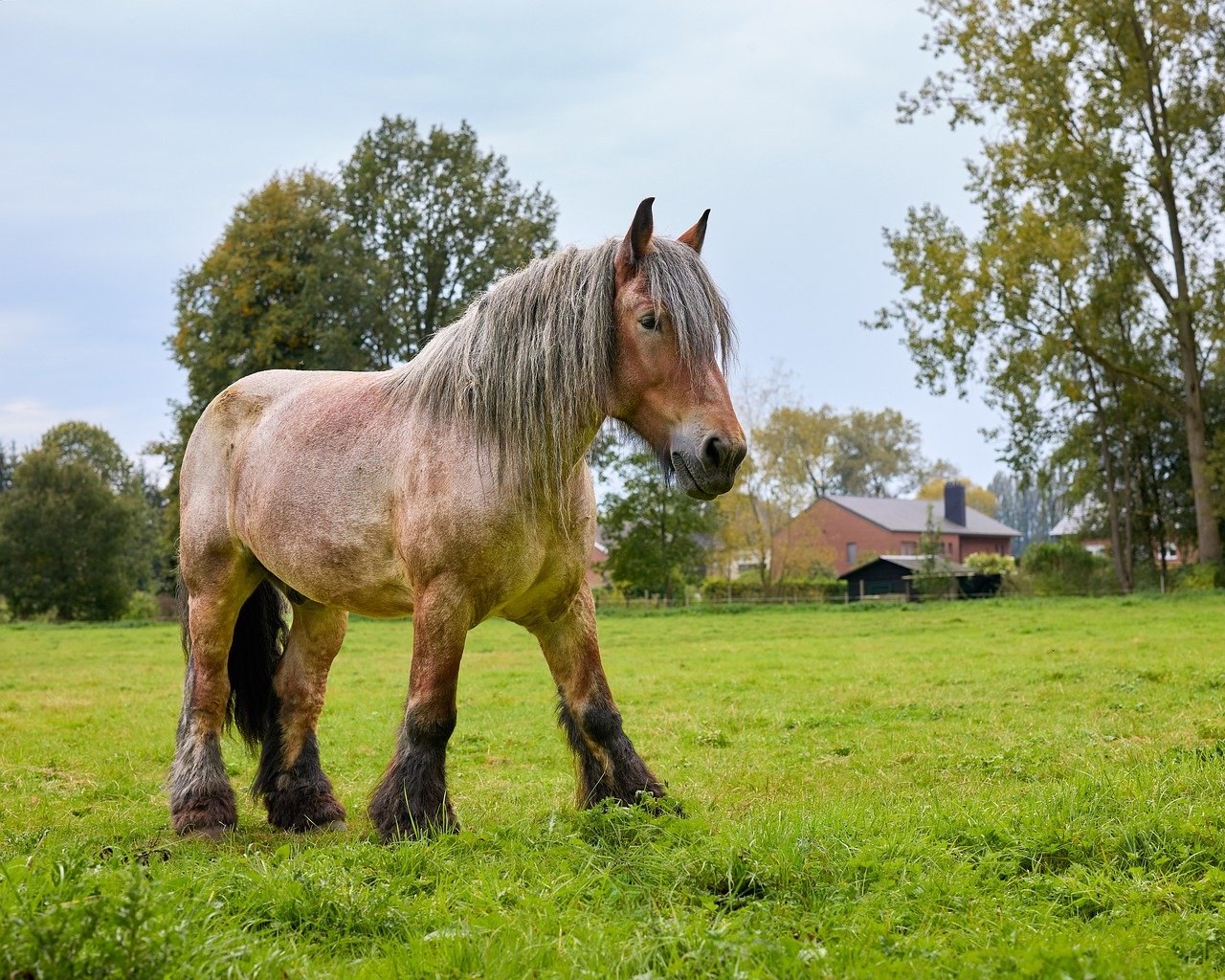 Reaching Out or Holding Back: How to Decide on a Phone Call