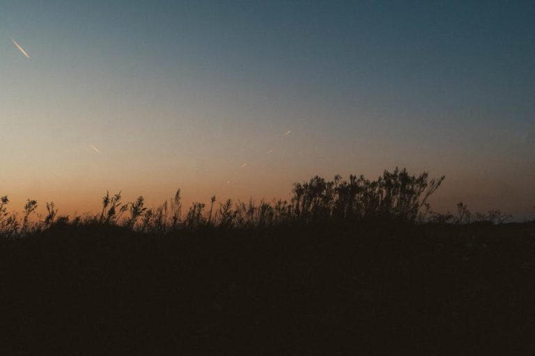 Noticing His Shifted Behavior: How to Respond Calmly