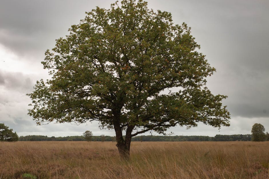 Calm Yourself: His Behavior Points Toward Staying Together