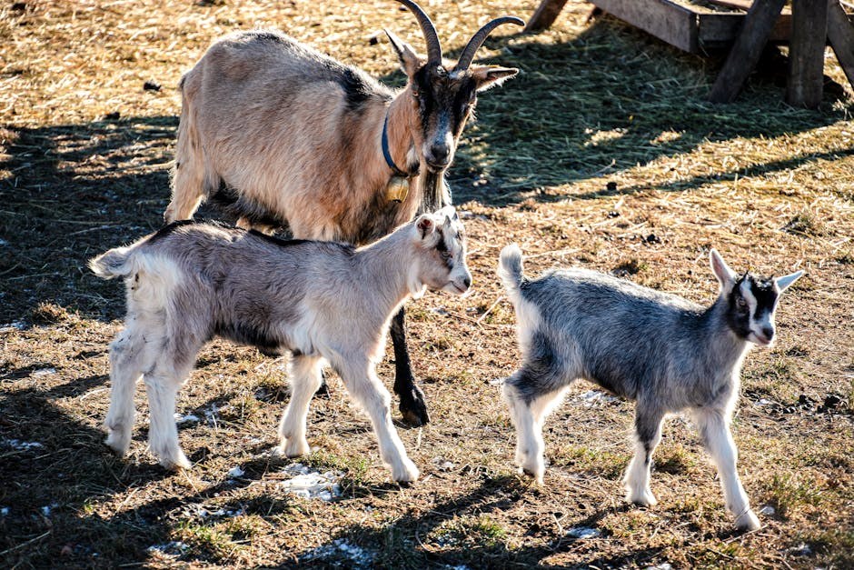 Healing After a Cheating Boyfriend: Practical Moves for Your Next Chapter