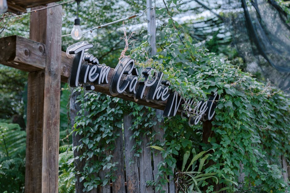 Healing After a Cheating Boyfriend: Practical Moves for Your Next Chapter