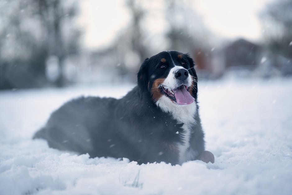 The “Only a Little” Promise That Blurs Consent