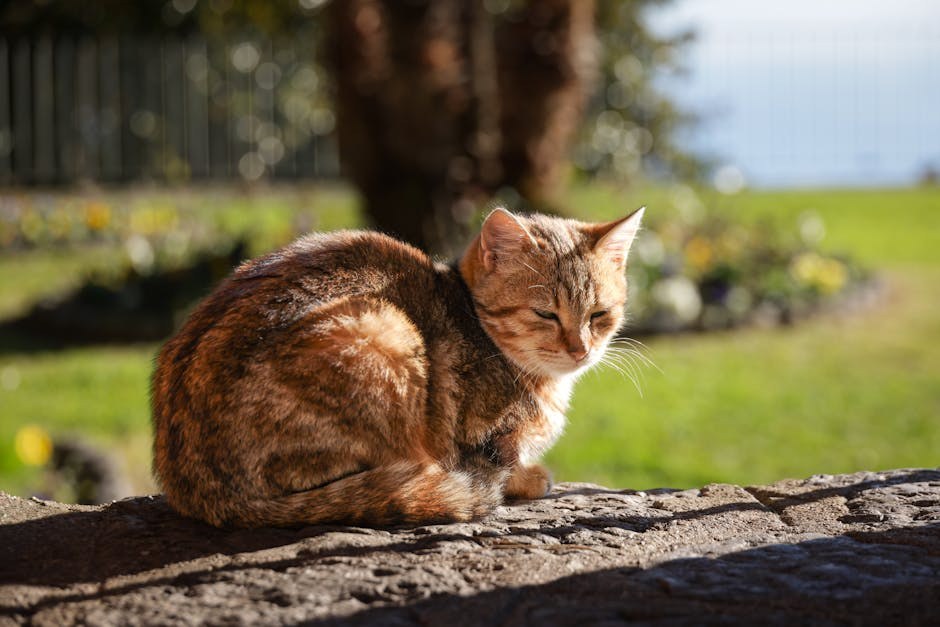 The “Only a Little” Promise That Blurs Consent