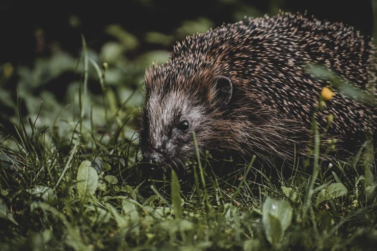 Soft Style Secrets for Feeling Cute and Catching His Eye