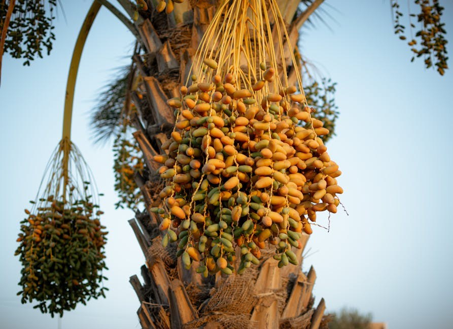 A Flirty Embrace That Leaves Him Wanting More