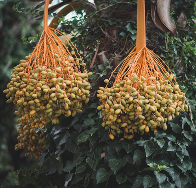 New Boyfriend Playbook: Healthy Habits for Early Dating