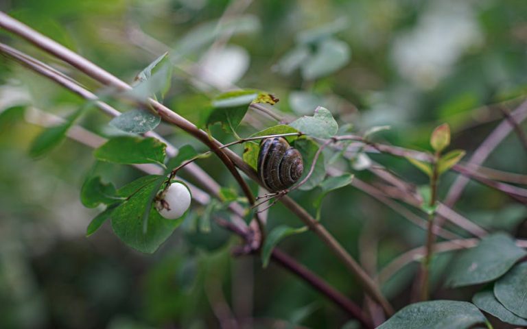 Spotting Interest and Arousal in a Makeout