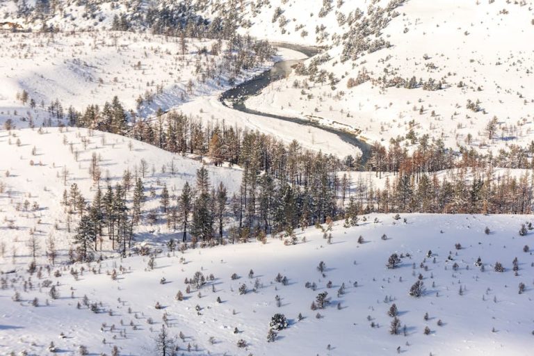 Texting Signals That Reveal His Interest