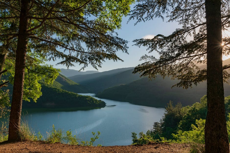 Texting Signals That Reveal His Interest