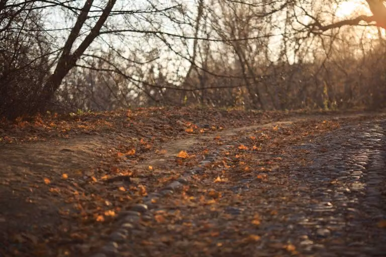Decoding Your Interest in Him and Where It Comes From