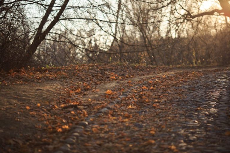 Decoding Your Interest in Him and Where It Comes From