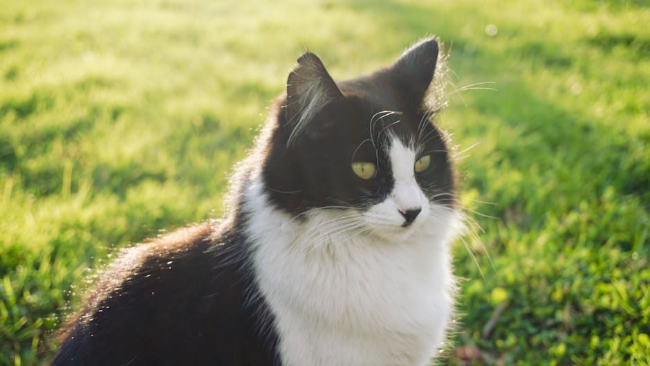 Escaping the Friend Zone With Playful Signals That Invite Romance