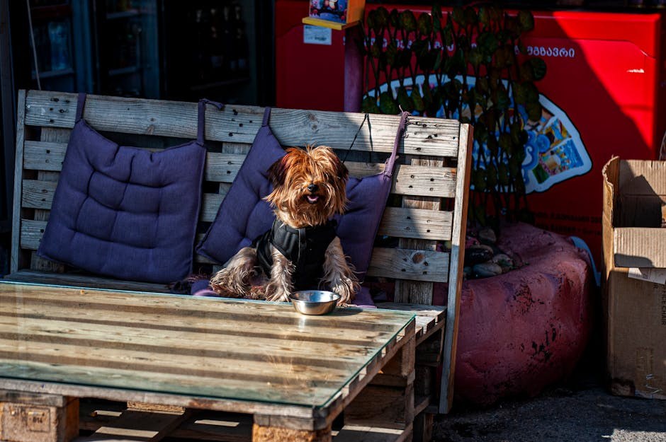 Escaping the Friend Zone With Playful Signals That Invite Romance