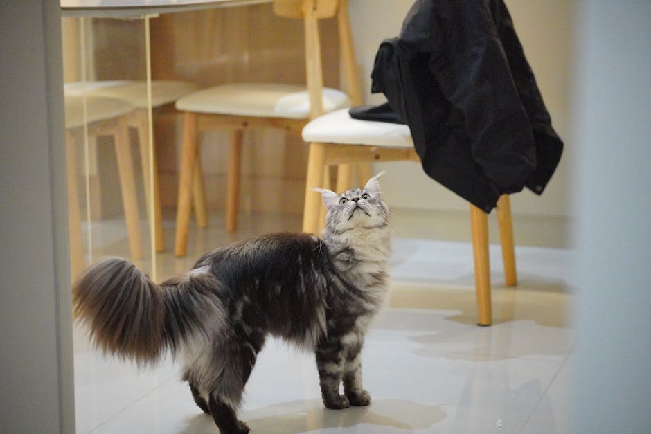 Playful Names He’ll Actually Enjoy Hearing