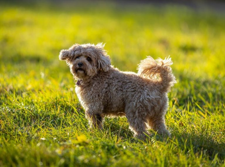 Fresh Play Ideas for a Cozy Date Evening